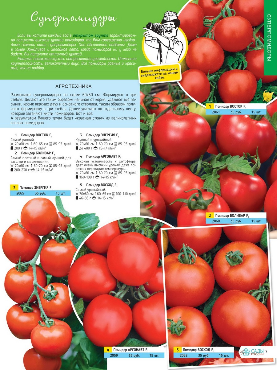 томат малиновое чудо отзывы фото урожайность