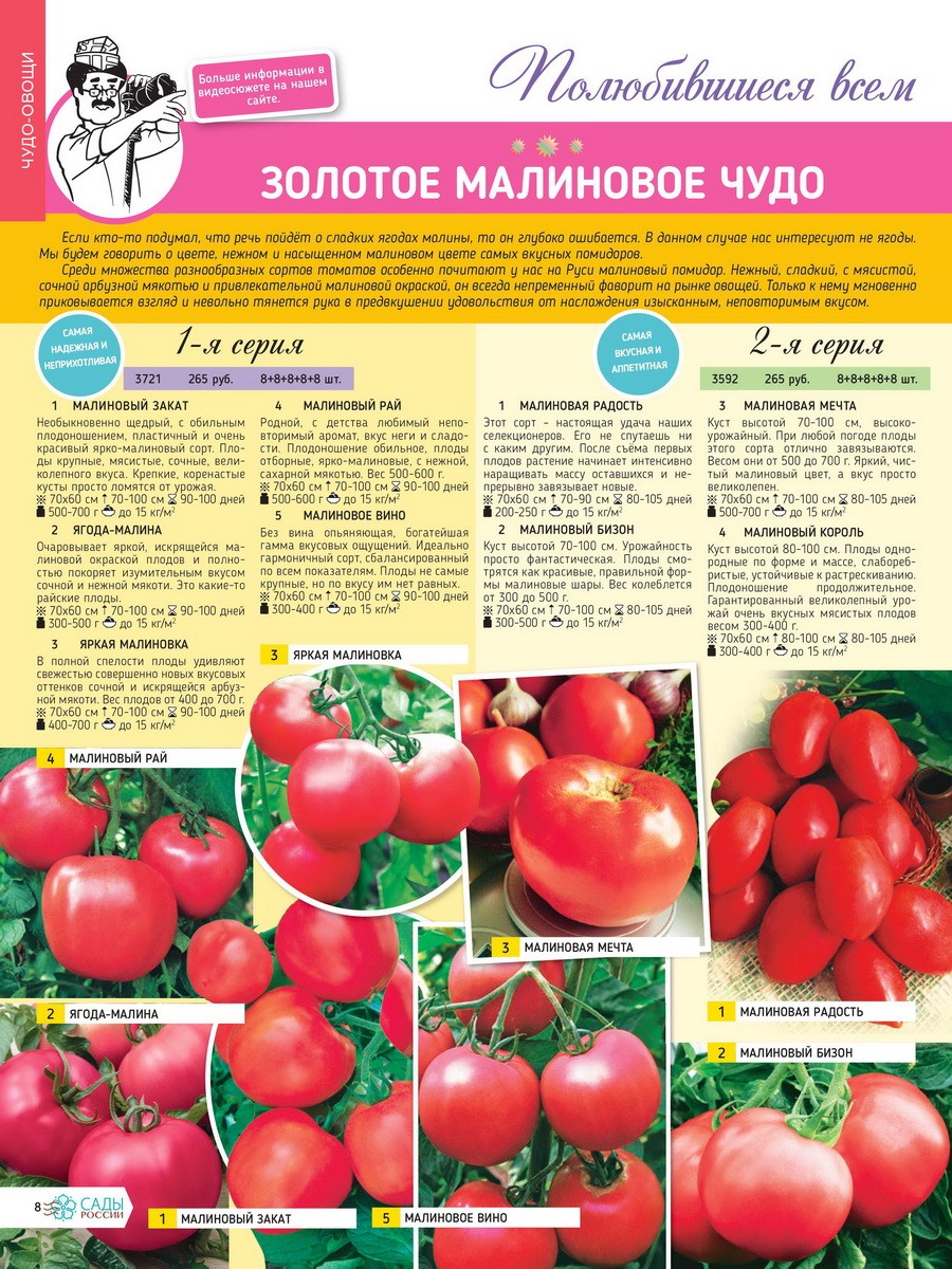 Каталог семян томатов