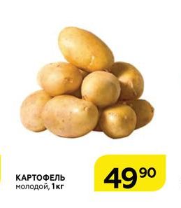 Картошка в Магните. Цена, акции