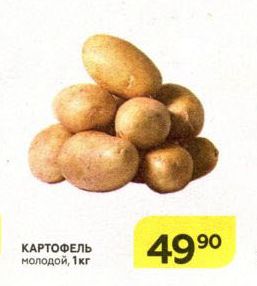 Картошка в Магните. Цена, акции