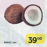 Цена кокосов в Магните