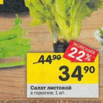 Цена листового салата в Перекрестке