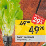 Цена листового салата в Перекрестке